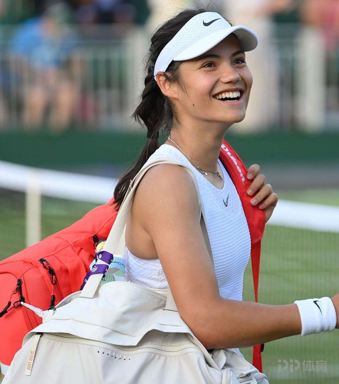 的后备力量 的后备力量